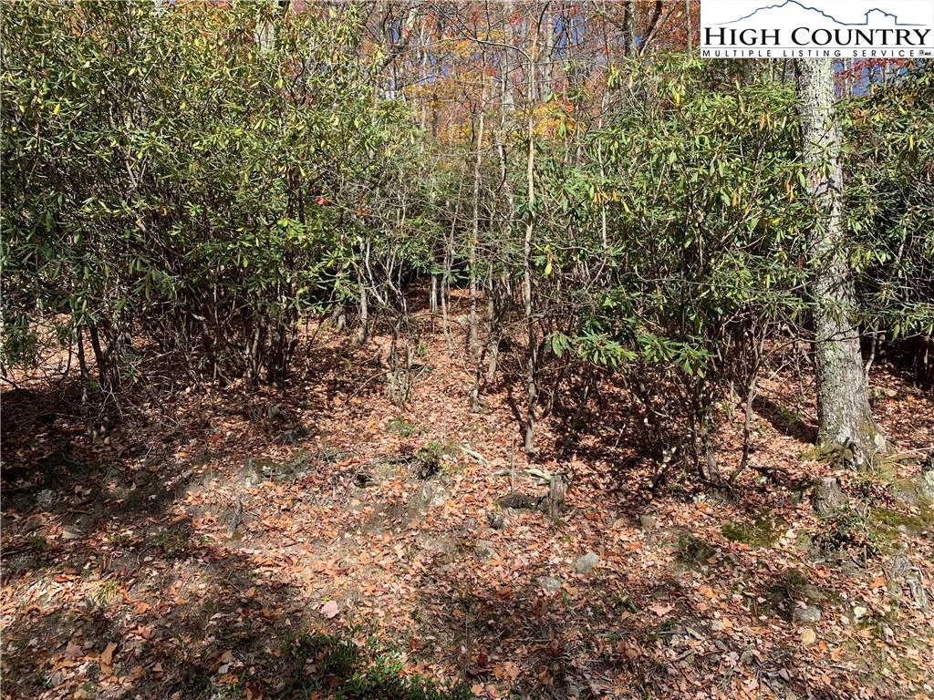 Image number 5 for the current listing