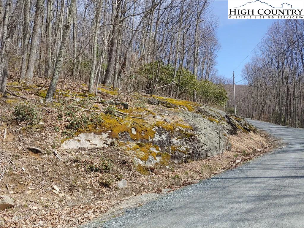 Image number 1 for the current listing