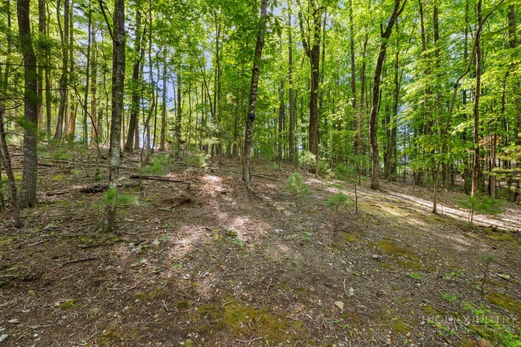 Image number 8 for the current listing