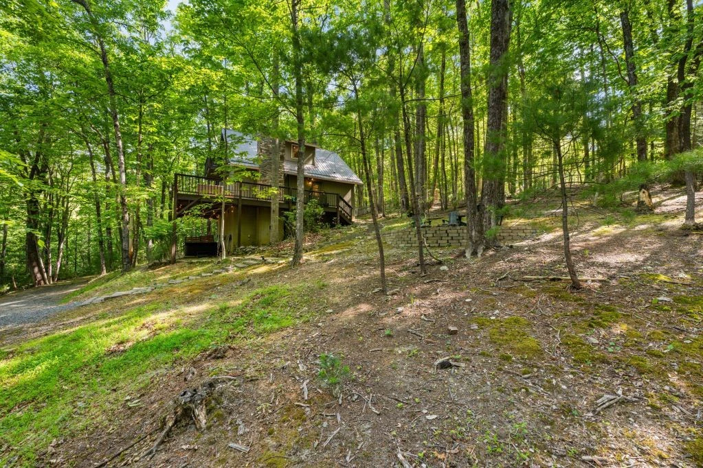Image number 9 for the current listing