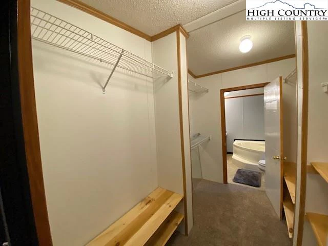 Image number 11 for the current listing
