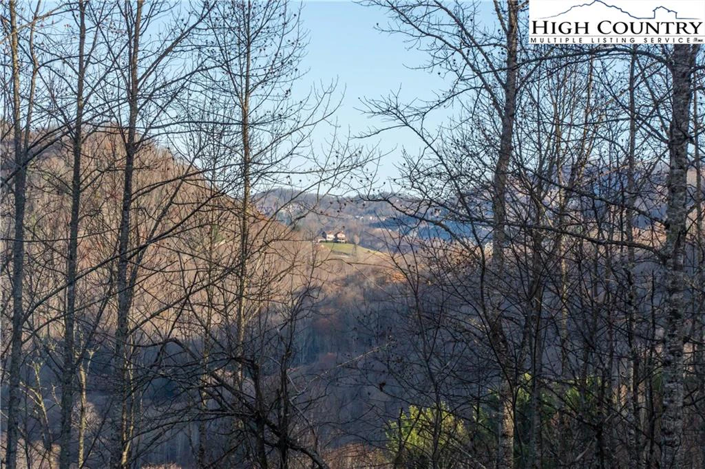 Image number 5 for the current listing