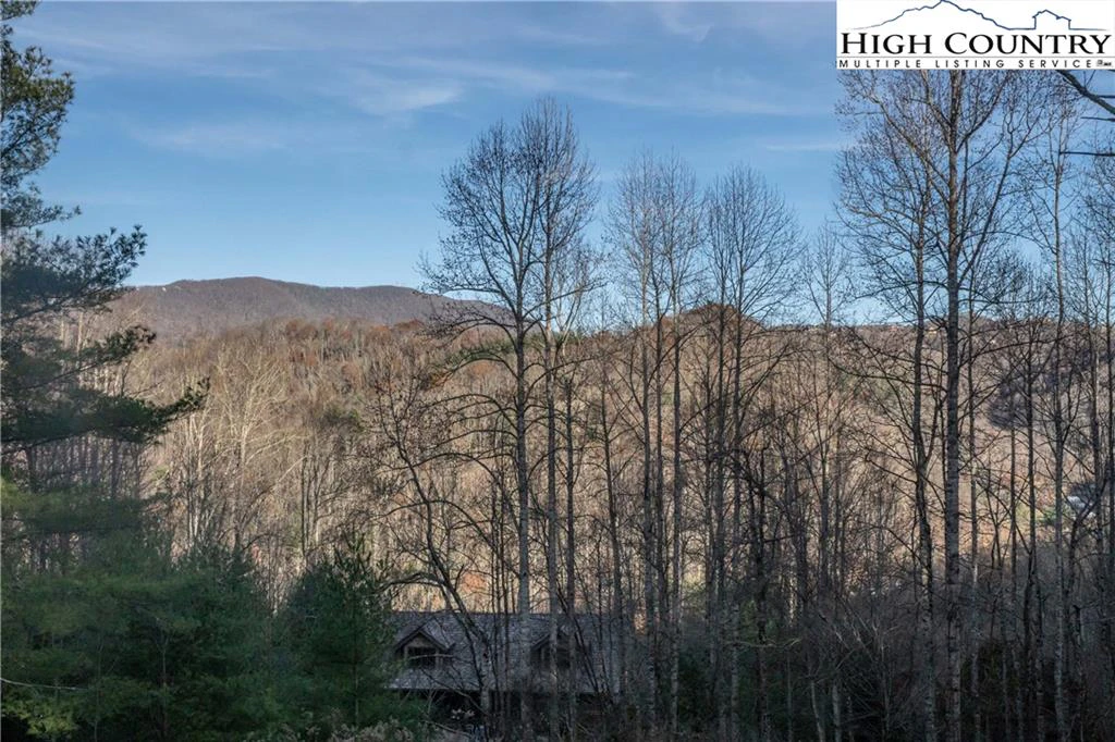 Image number 6 for the current listing