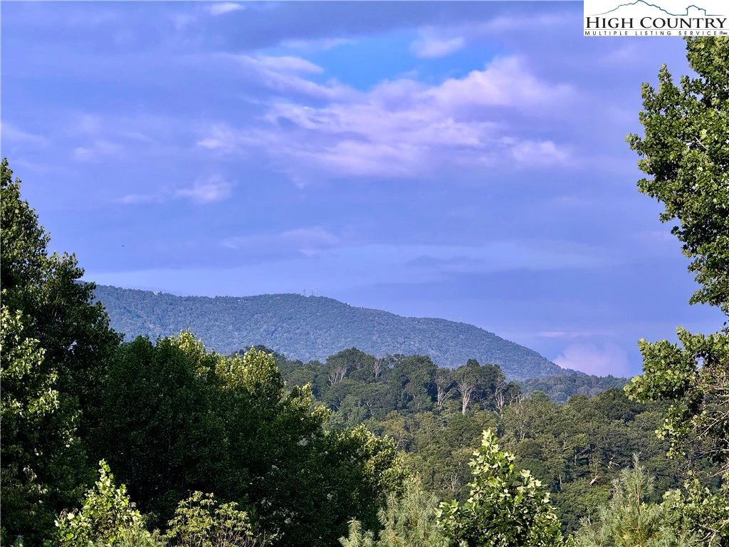 Image number 5 for the current listing