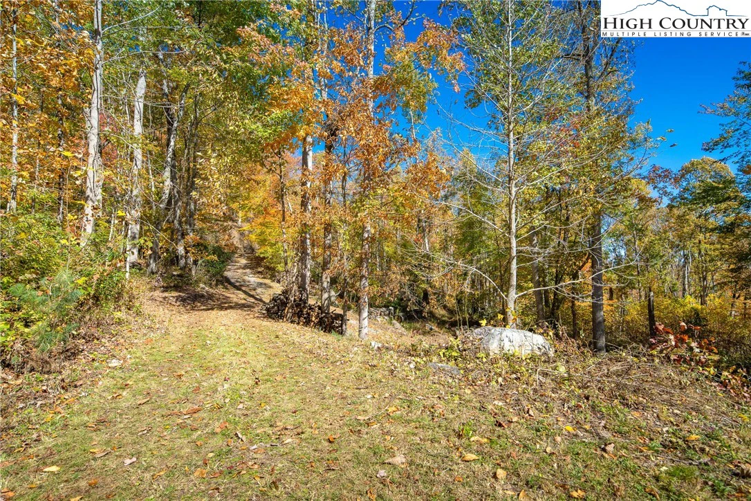 Image number 9 for the current listing