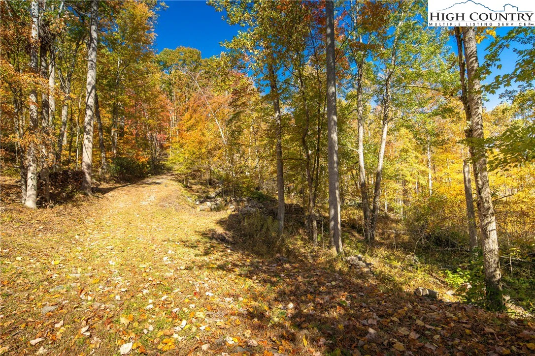 Image number 14 for the current listing
