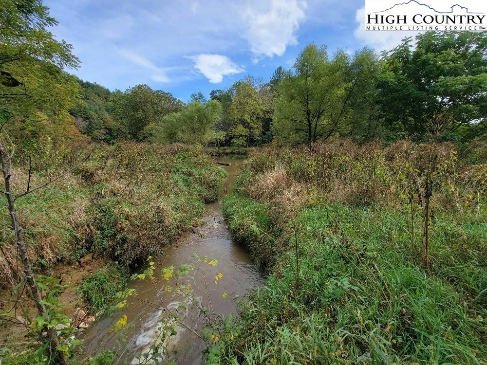 Image number 13 for the current listing