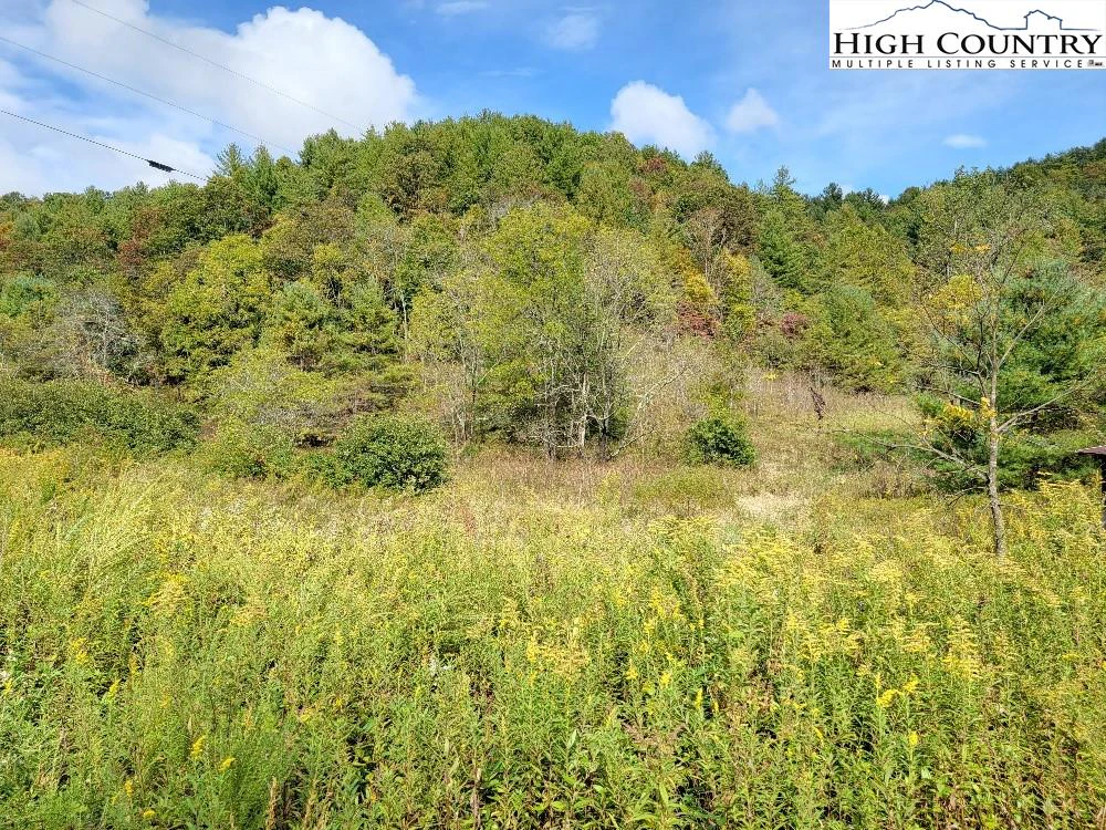 Image number 11 for the current listing
