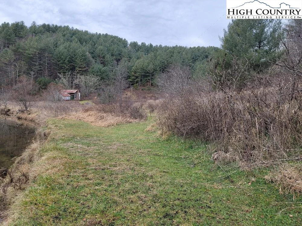 Image number 7 for the current listing