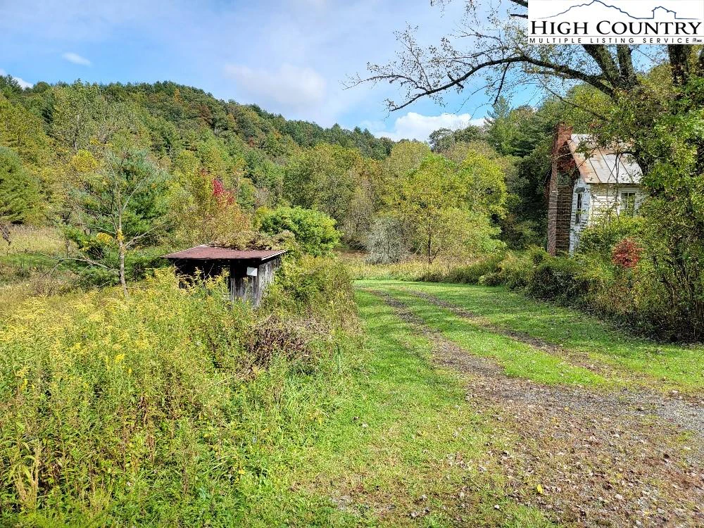 Image number 14 for the current listing
