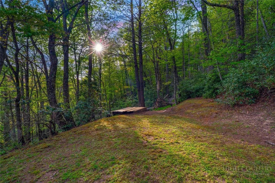 Image number 7 for the current listing