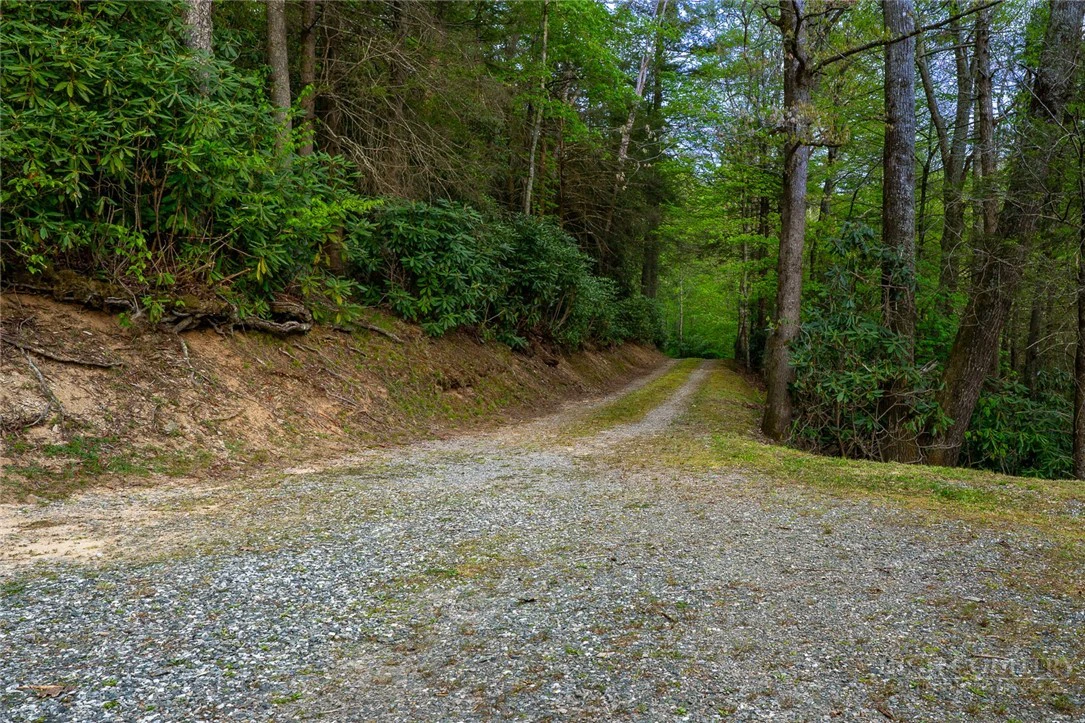 Image number 8 for the current listing