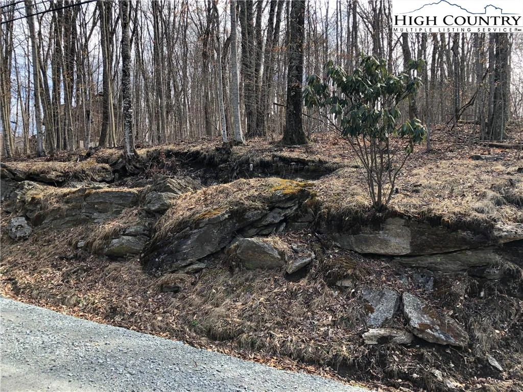Image number 1 for the current listing