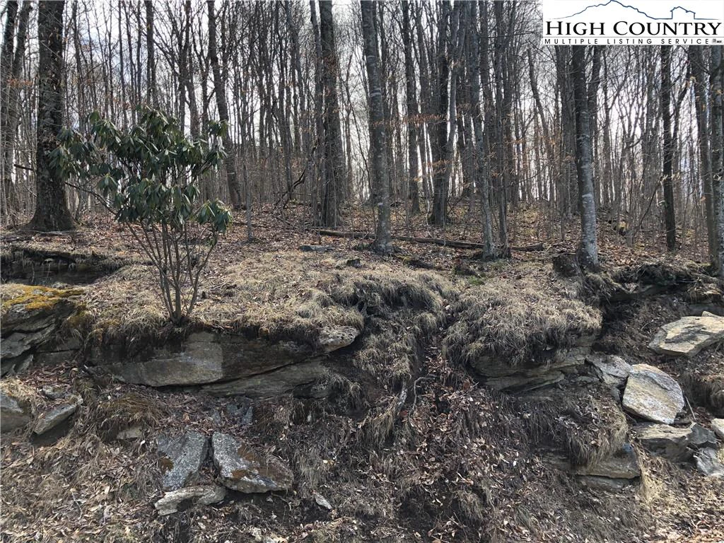 Image number 3 for the current listing