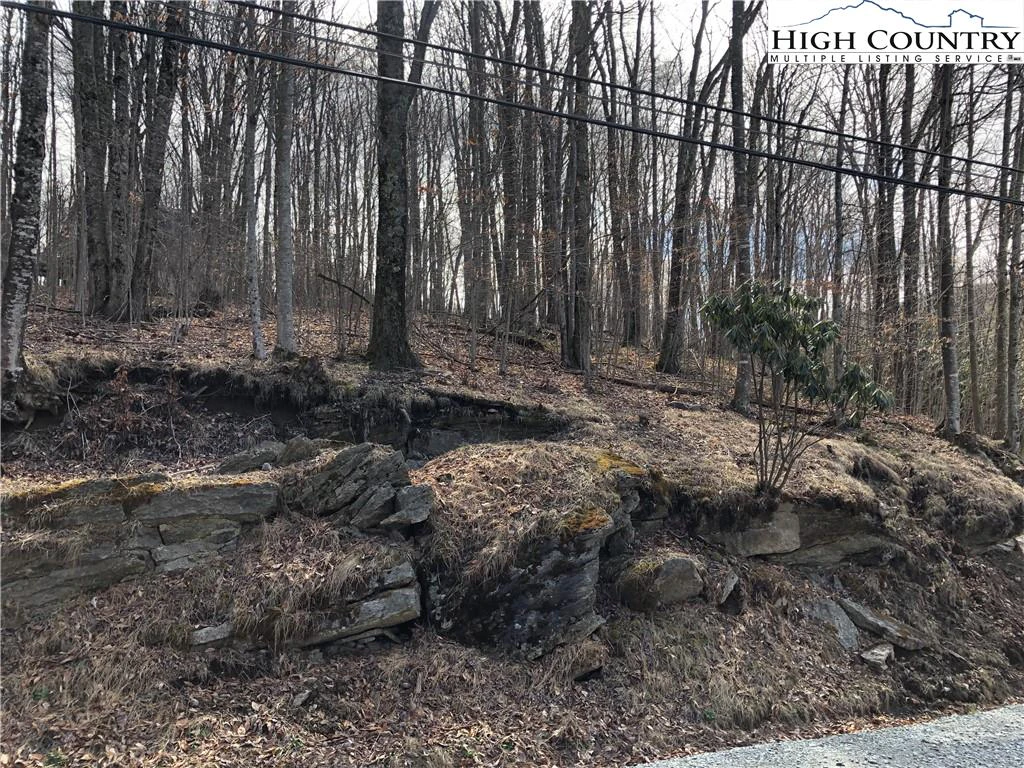Image number 4 for the current listing