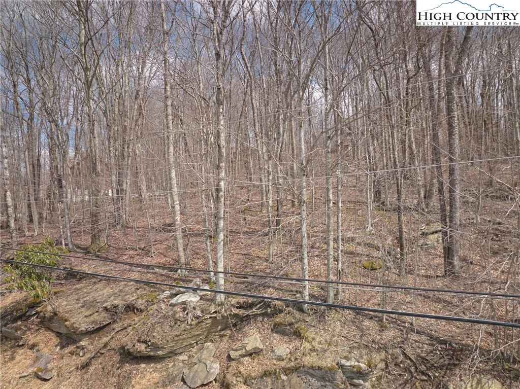 Image number 1 for the current listing