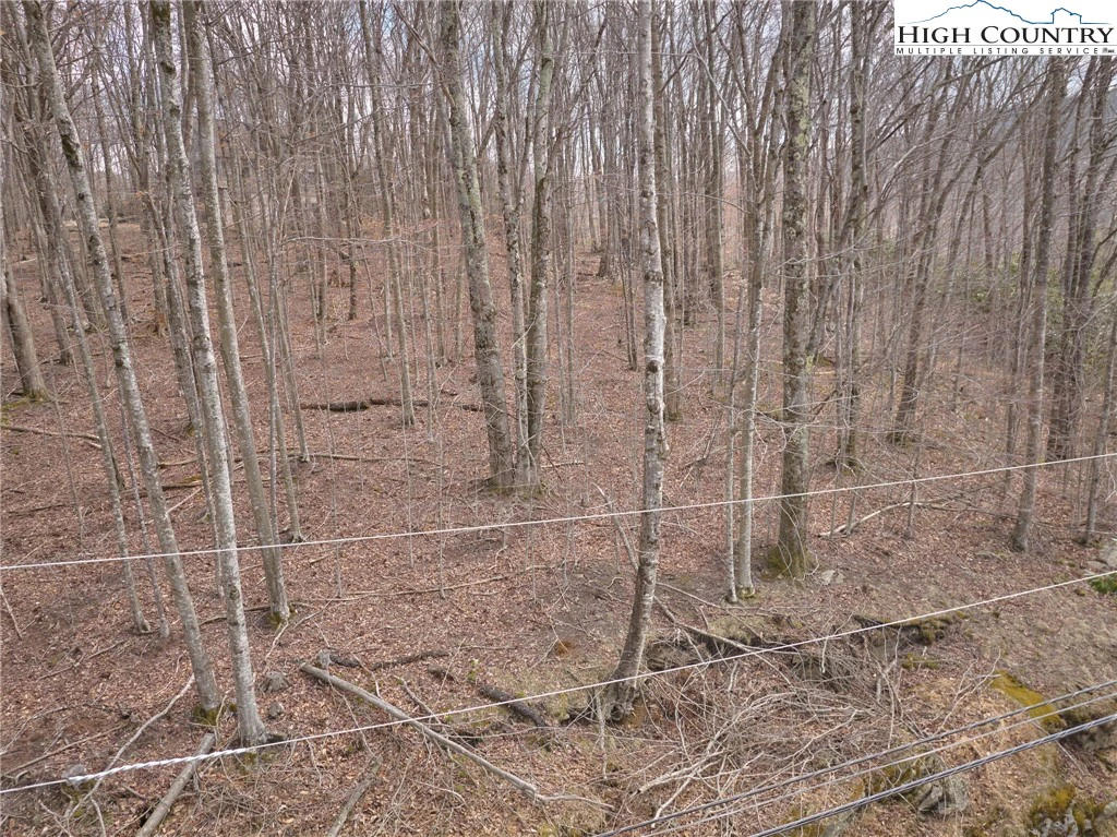 Image number 15 for the current listing