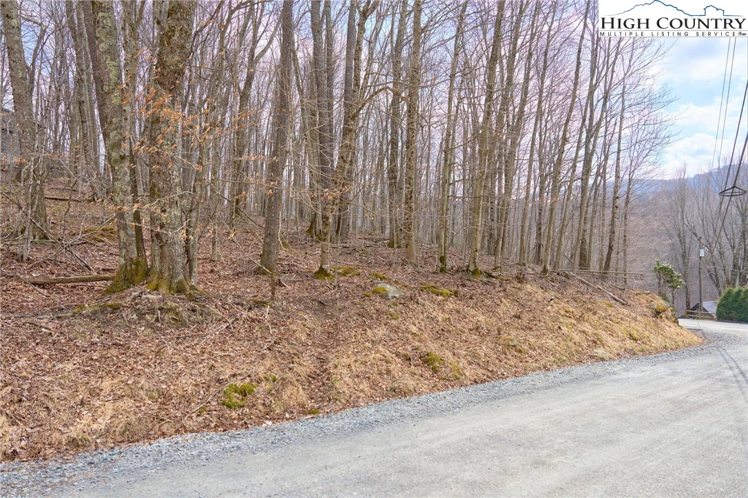 Image number 14 for the current listing