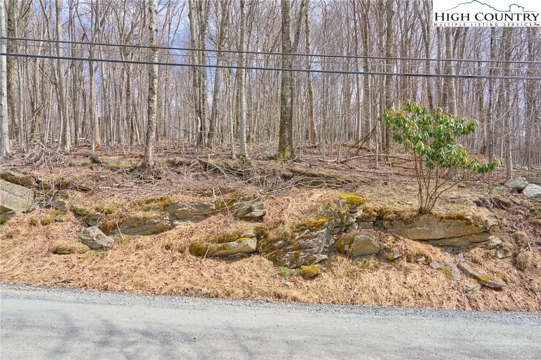 Image number 13 for the current listing