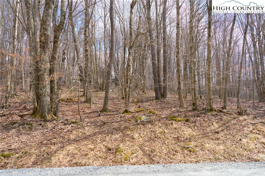 Image number 3 for the current listing