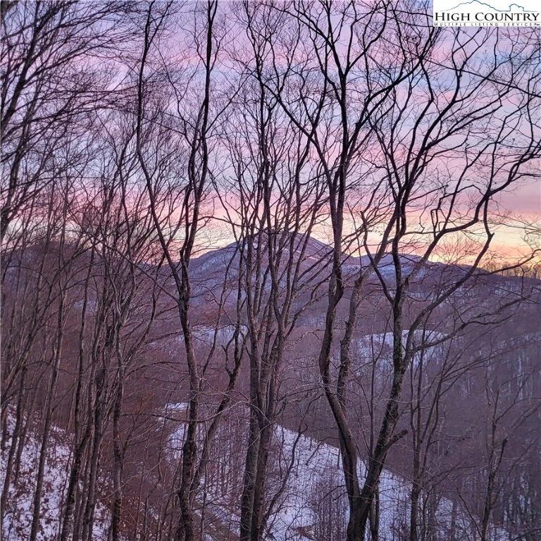 Image number 17 for the current listing