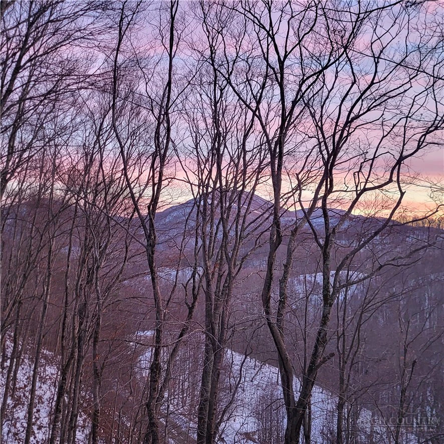 Image number 4 for the current listing