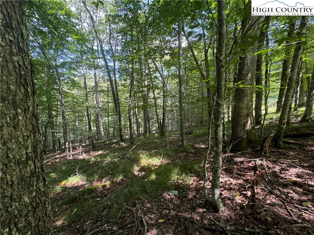 Image number 1 for the current listing