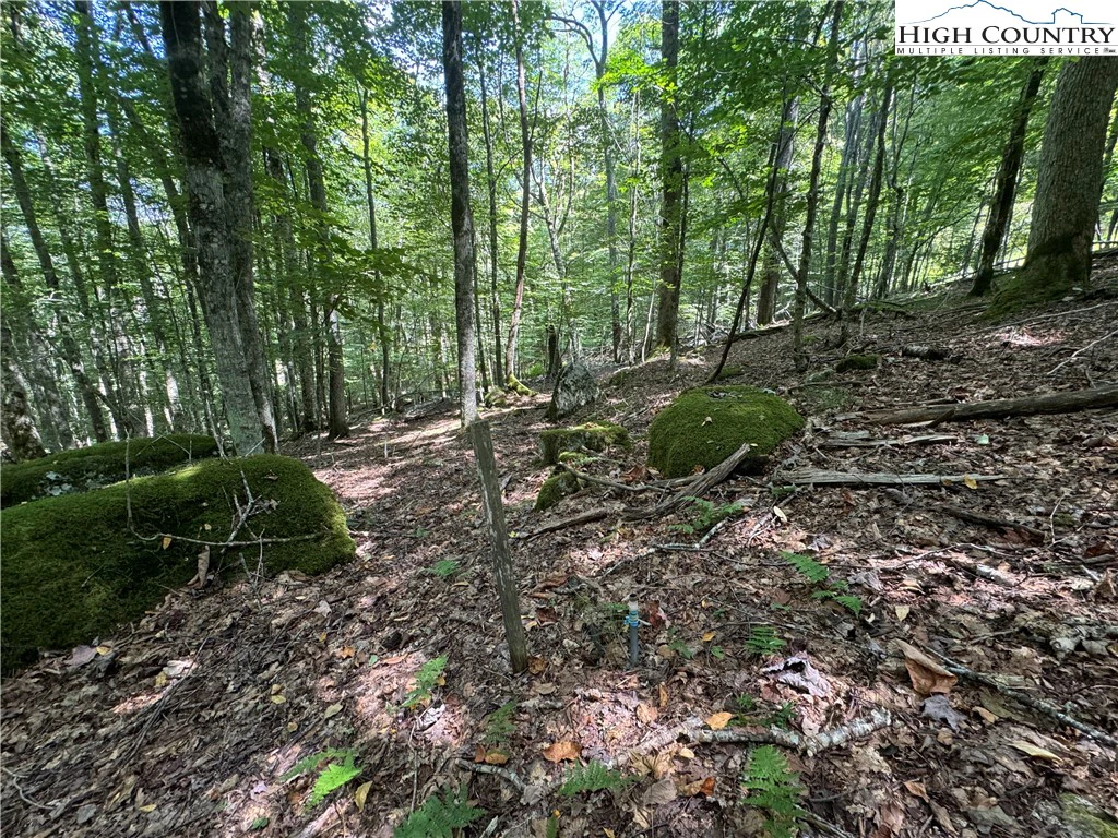 Image number 3 for the current listing