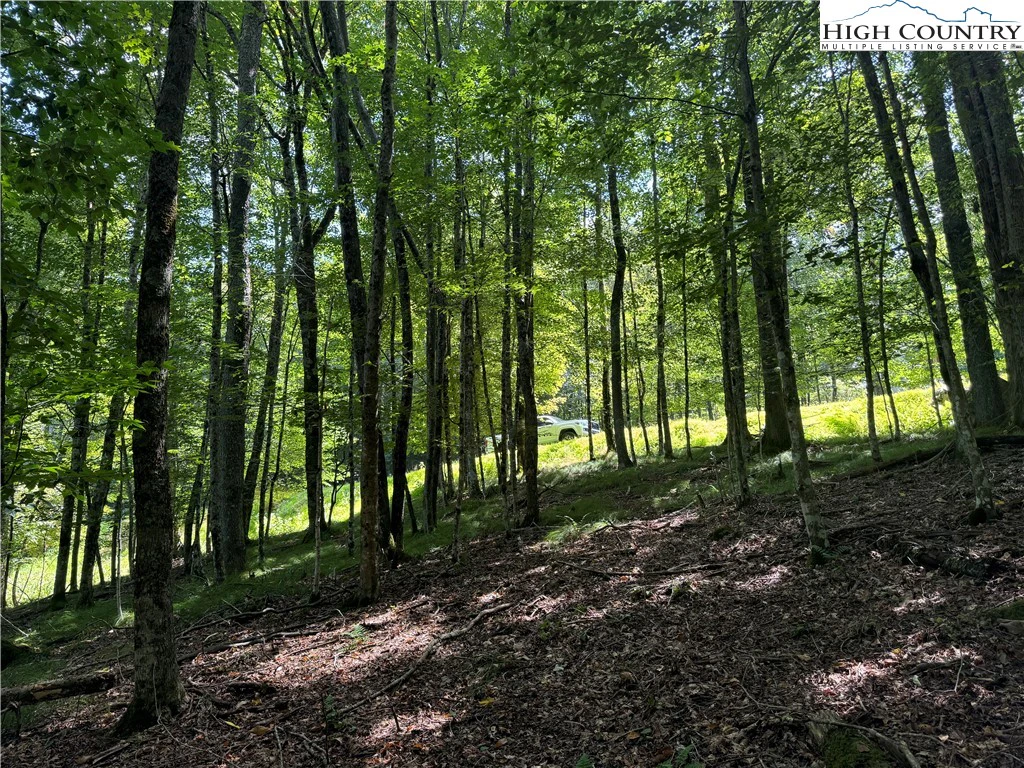 Image number 11 for the current listing
