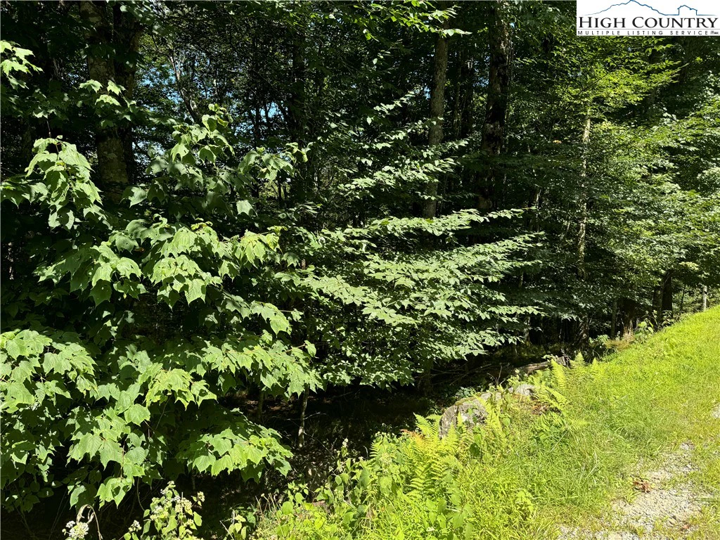 Image number 2 for the current listing