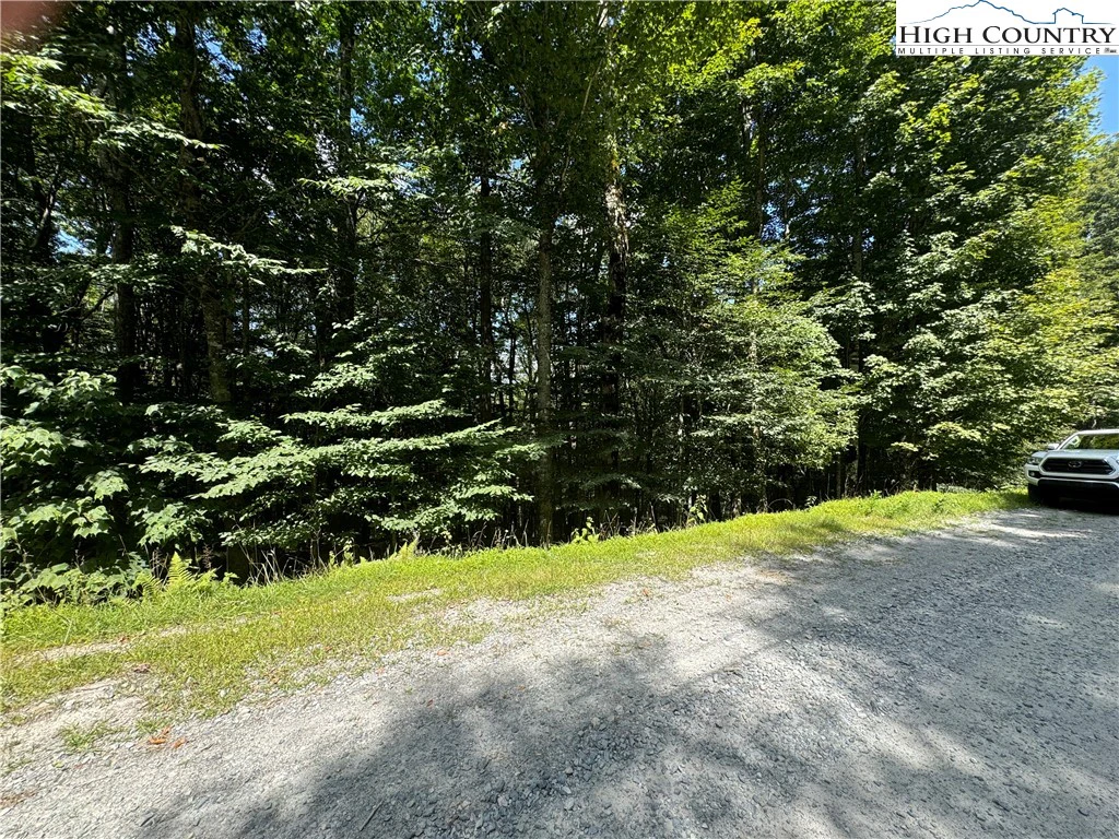 Image number 14 for the current listing