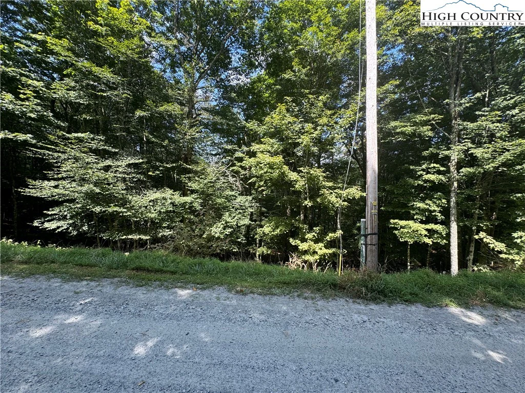 Image number 15 for the current listing