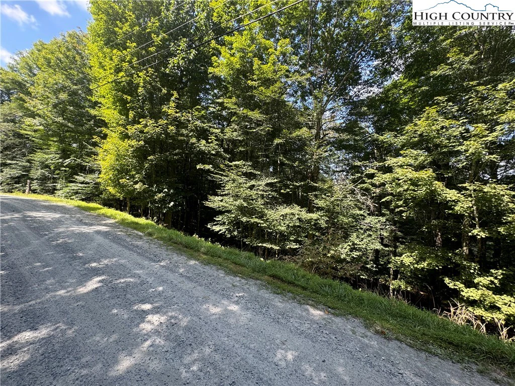 Image number 16 for the current listing