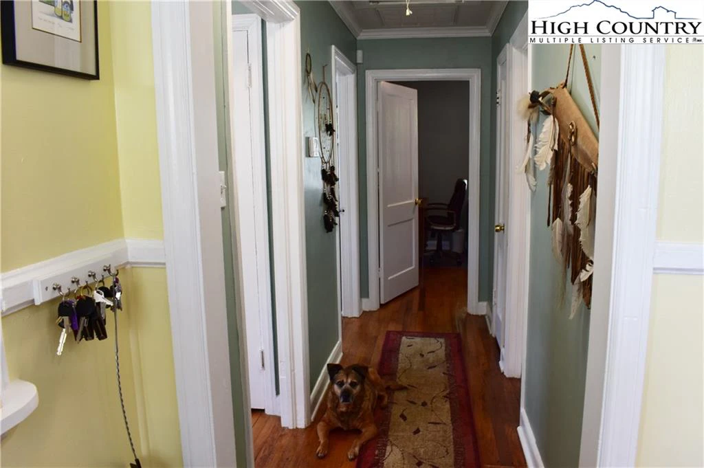 Image number 3 for the current listing