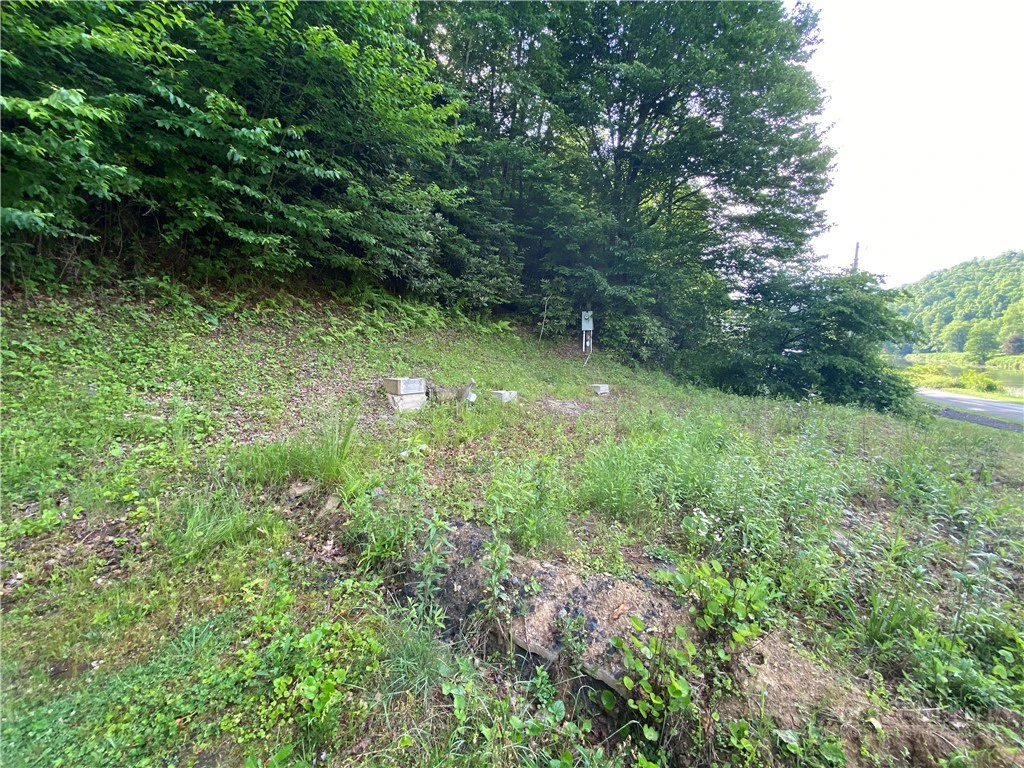 Image number 6 for the current listing