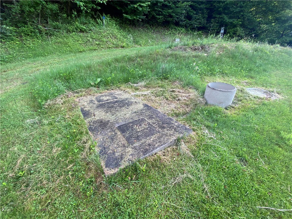 Image number 8 for the current listing