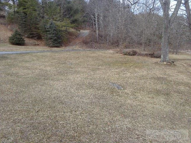 Image number 2 for the current listing