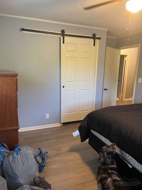 Image number 12 for the current listing