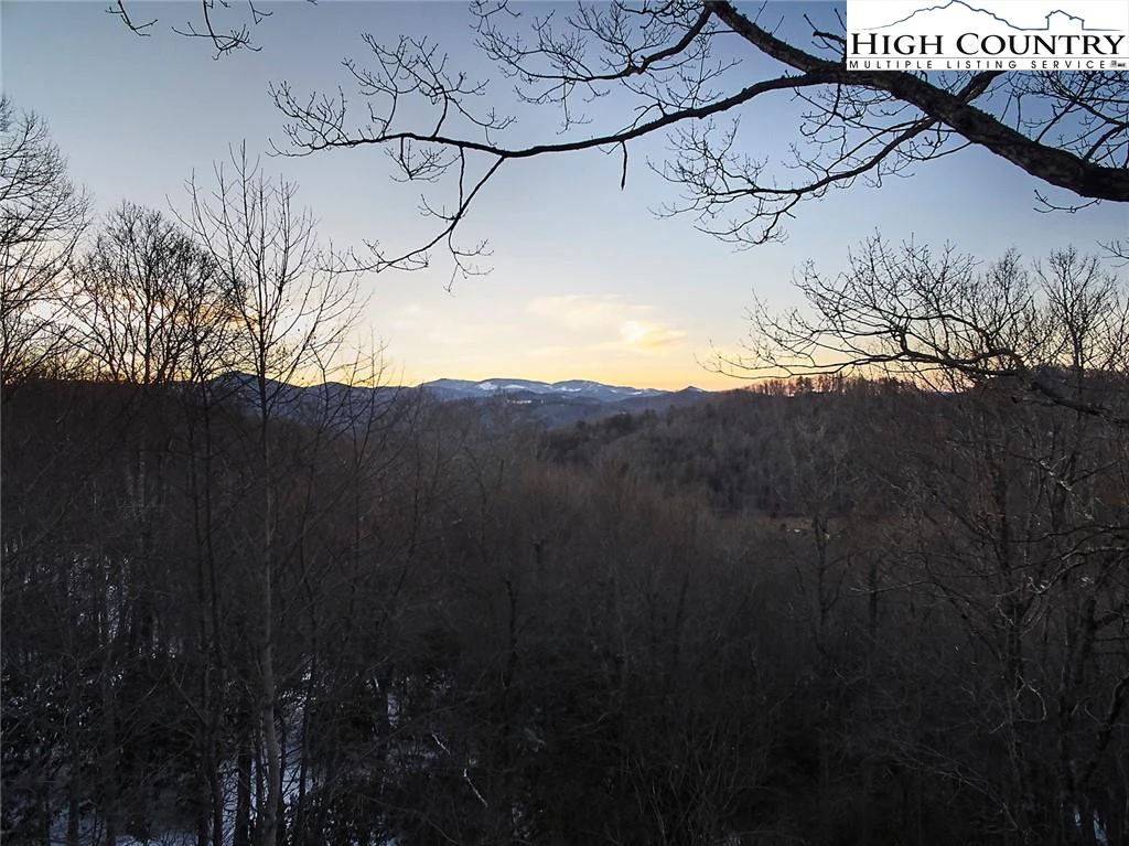 Image number 2 for the current listing