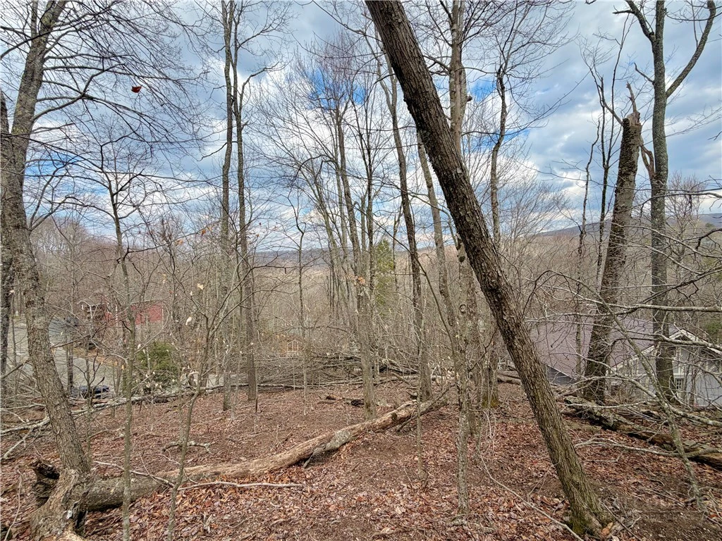 Image number 3 for the current listing
