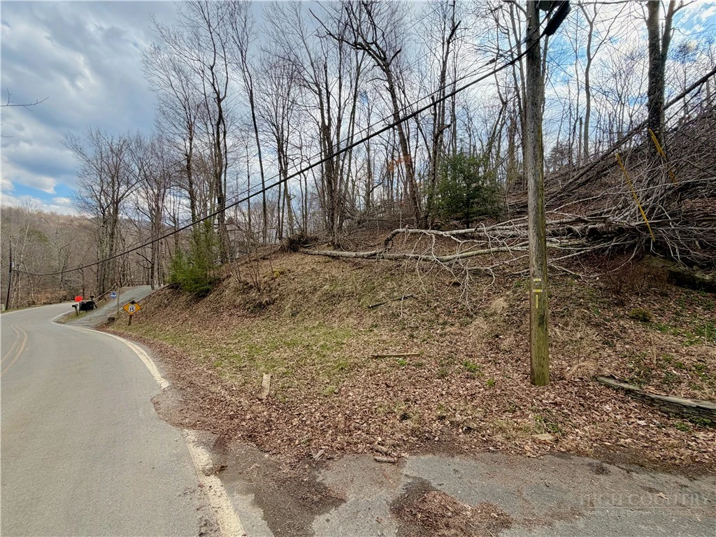 Image number 6 for the current listing