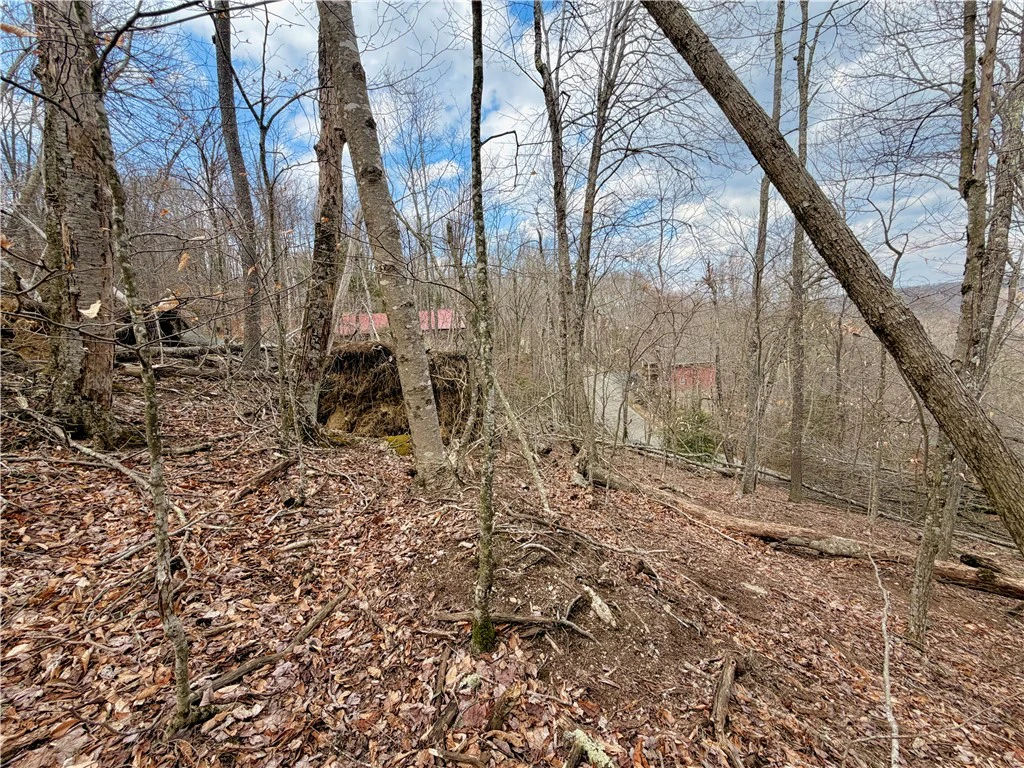 Image number 8 for the current listing