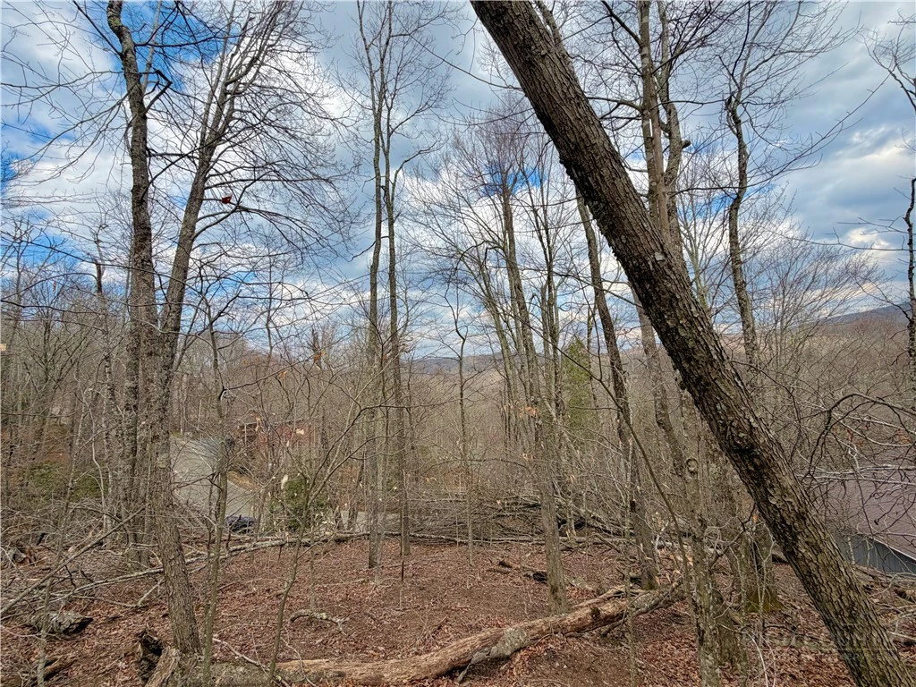 Image number 9 for the current listing