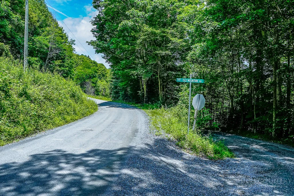 Image number 3 for the current listing