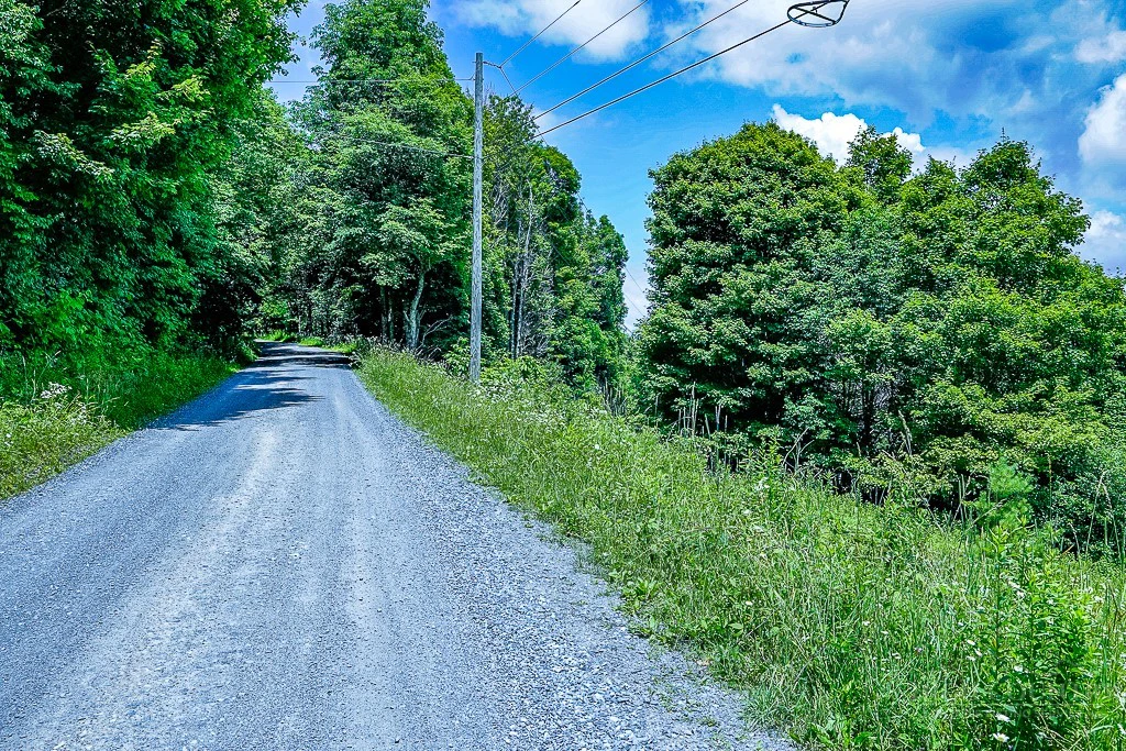 Image number 4 for the current listing