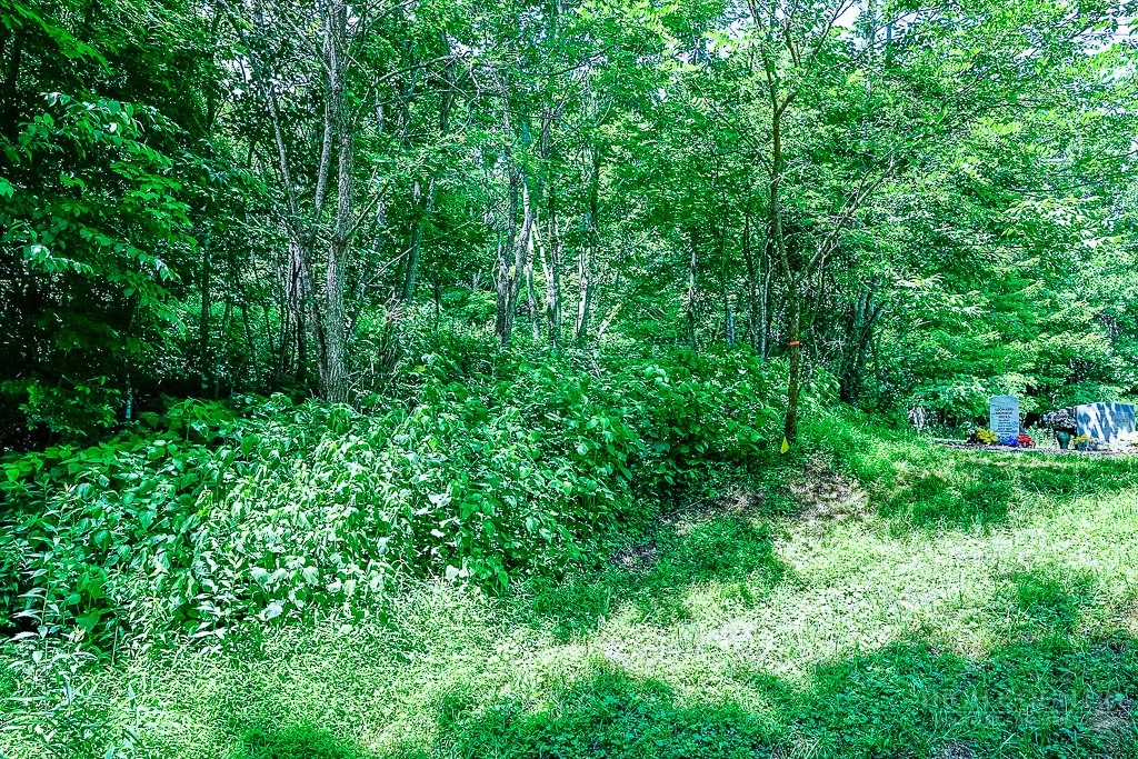 Image number 15 for the current listing