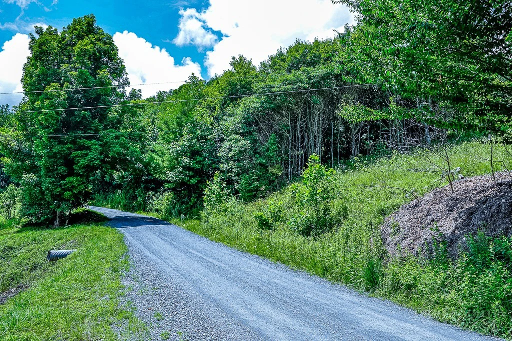 Image number 16 for the current listing