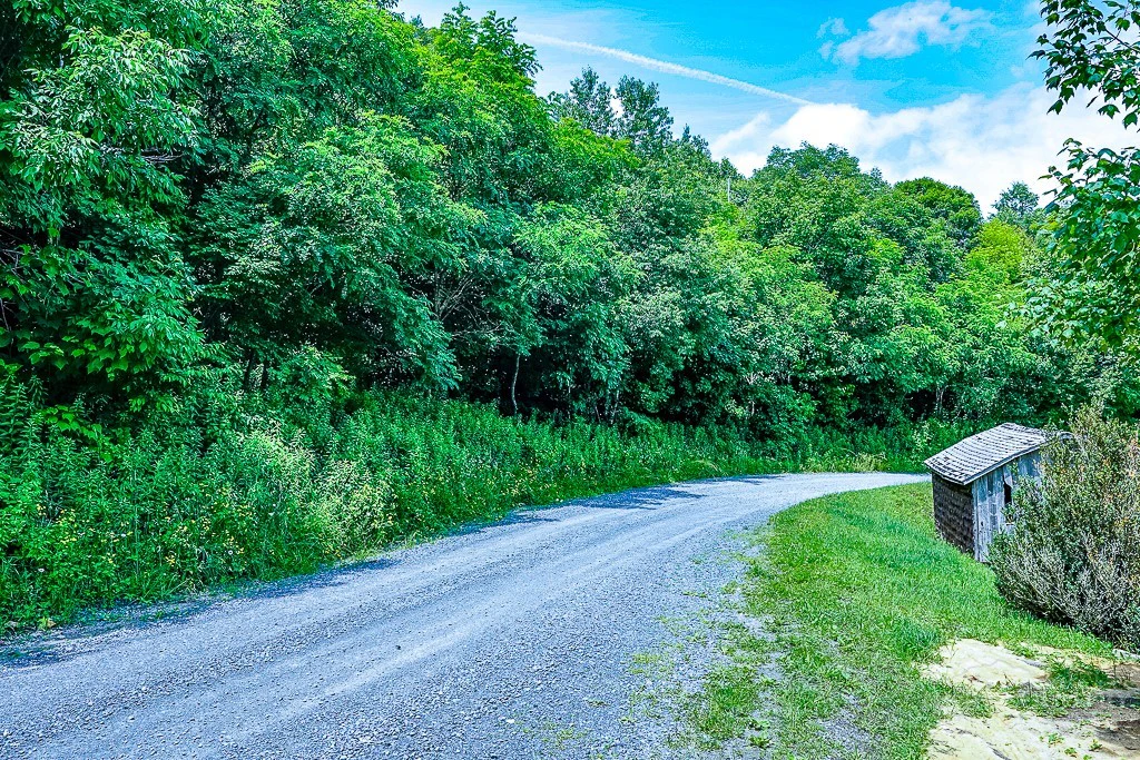 Image number 18 for the current listing