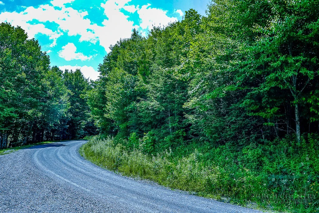 Image number 5 for the current listing