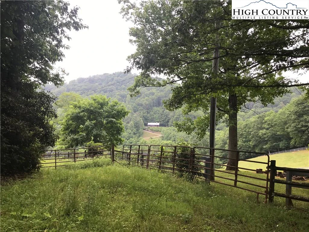 Image number 4 for the current listing